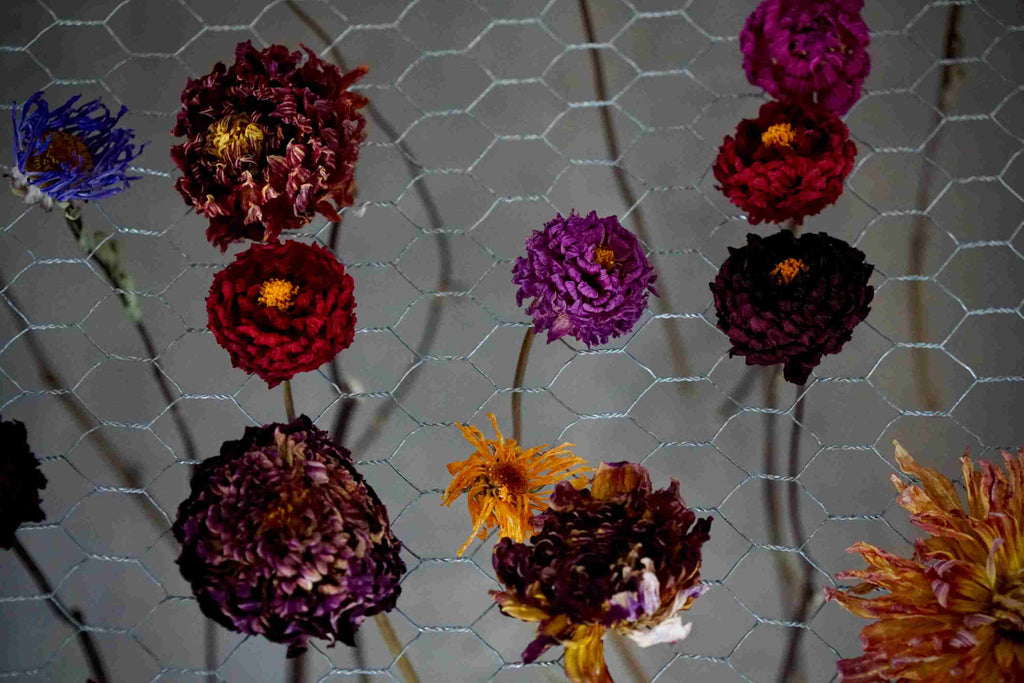 Trockenblumen aus eigener Produktion, fleurs-devie.ch - fleurs séchées de ma propre production, fleurs-devie.ch