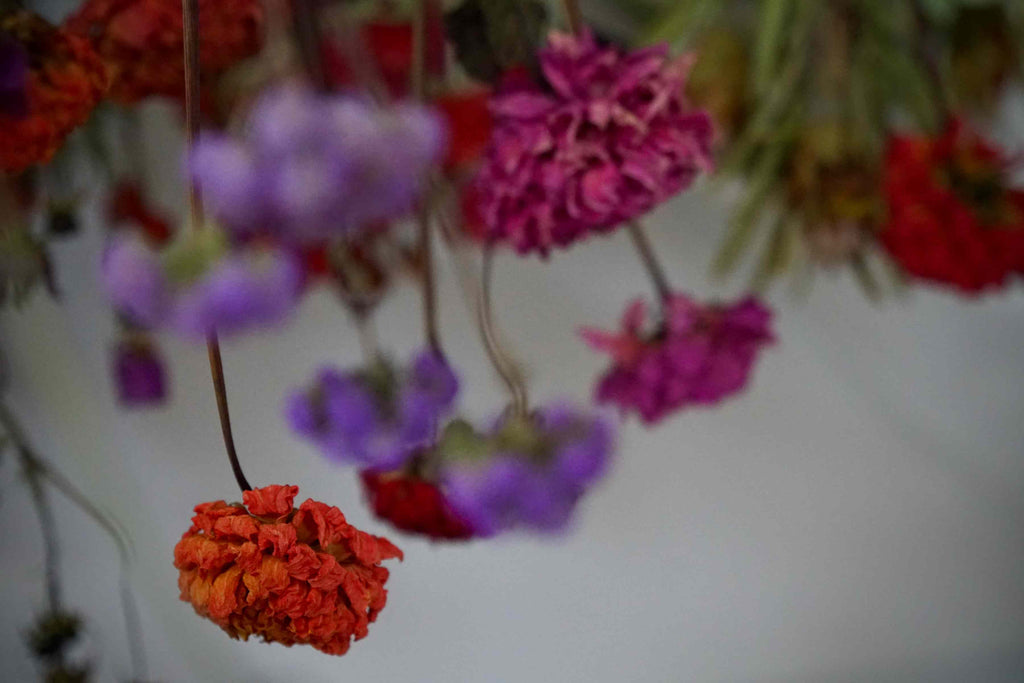 Trockenblumen aus eigener Produktion, fleurs-devie.ch - fleurs séchées produites maison par fleurs-devie.ch